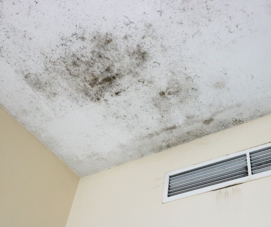 Feuchteschäden Schimmel im Haus